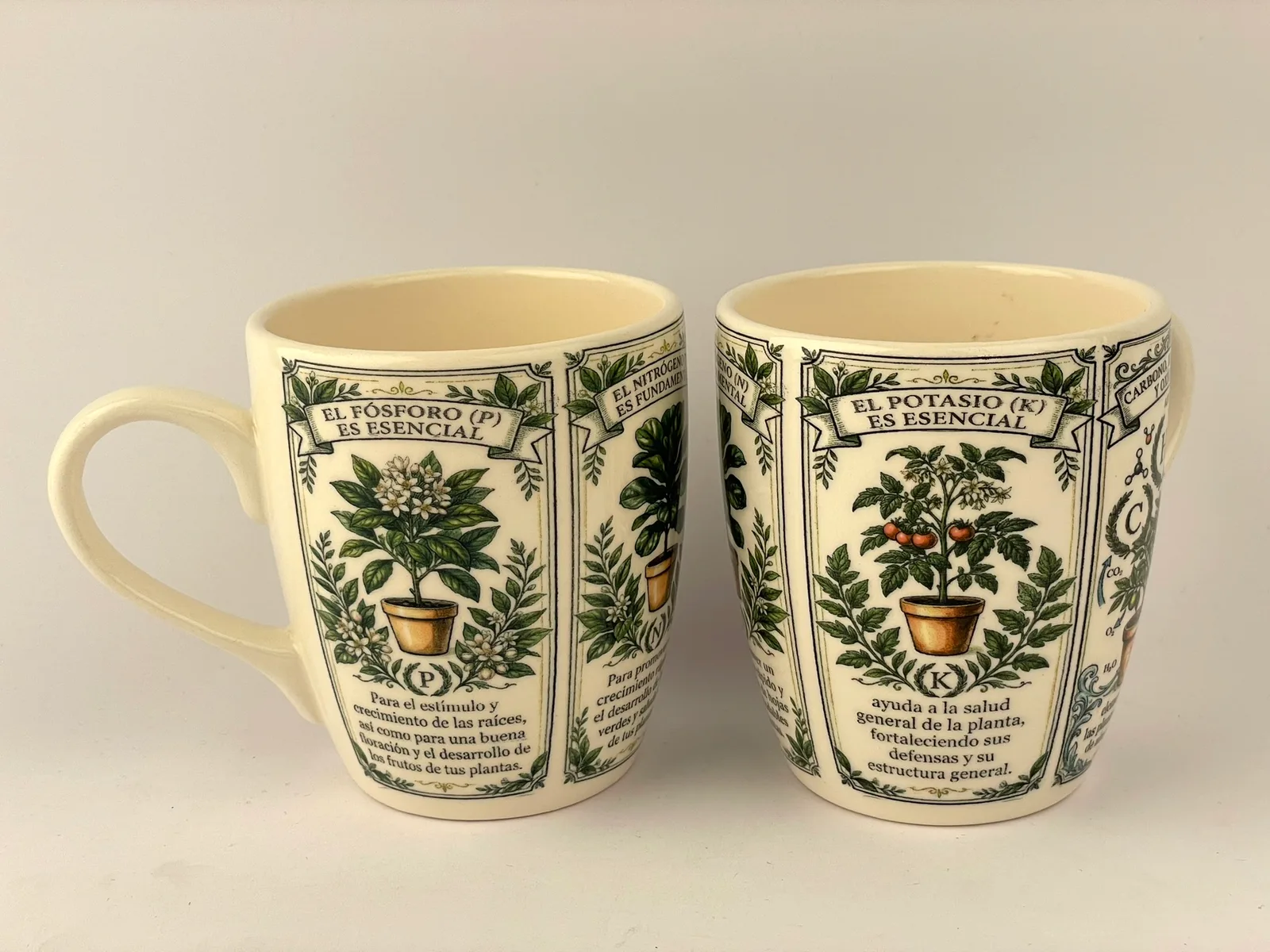 Tazas · motivo botánico